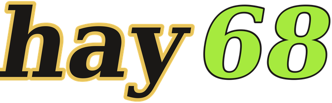 hay68 logo